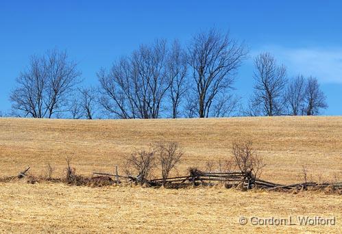 Trees Beyond Fence_08145.jpg - Photographed near Philipsville, Ontario, Canada.